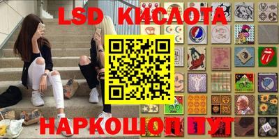 PSILOCYBIN Кунгур
