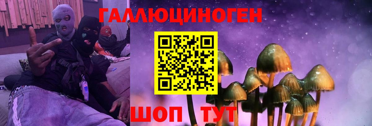 Псилоцибиновые грибы Psilocybe Южно-Сахалинск